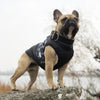 Winter Warm Dog Clothes: Windproof Jacket for Small Dogs - Puppy Outfit, Chihuahua, French Bulldog, Yorkies Vest