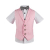 Young Gentlemen's Candy-Colored Waistcoat Set: A Dapper Choice for Kids' Formal Wedding Attire, Featuring a Bowtie, Shirt, Vest, and Pants